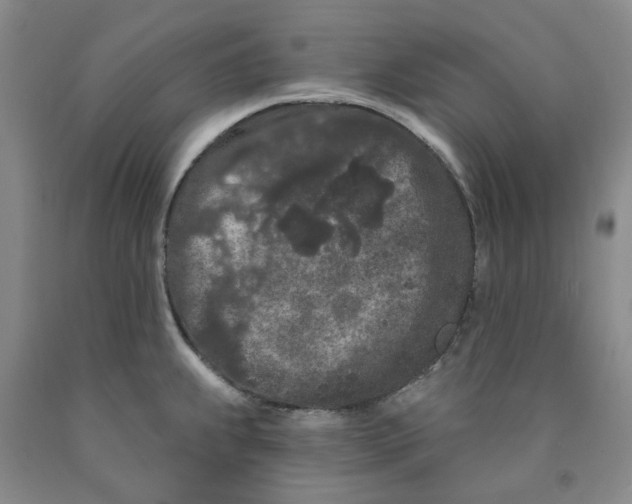 X0000089911239200707271708