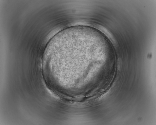 X0000089911241200707271708