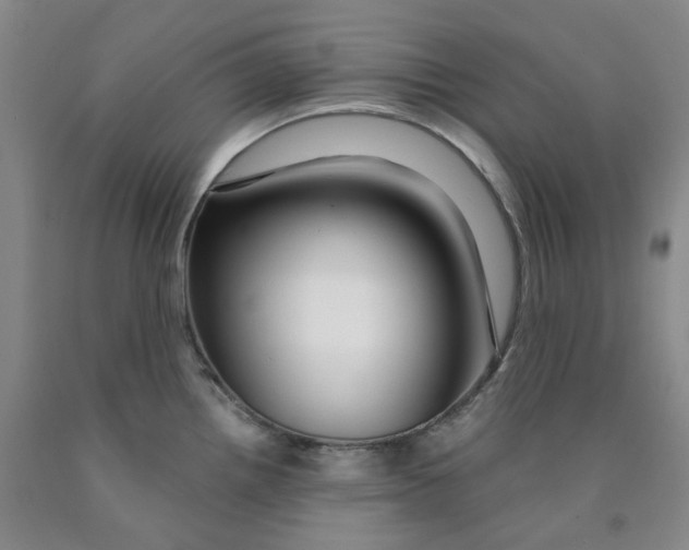 X0000089911242200707271708