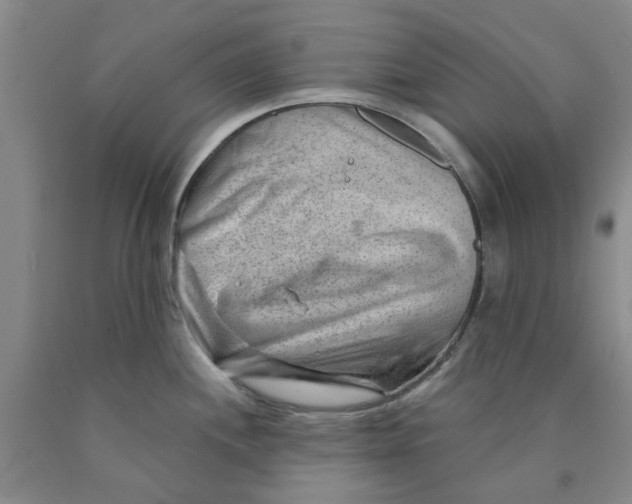 X0000089911244200707271708