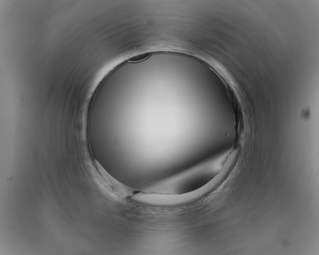 X0000089911246200707271708