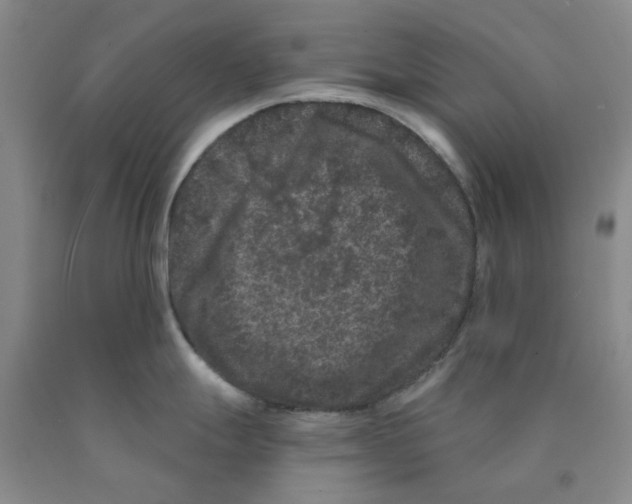 X0000089911247200707271708