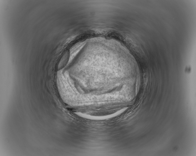 X0000089911249200707271707