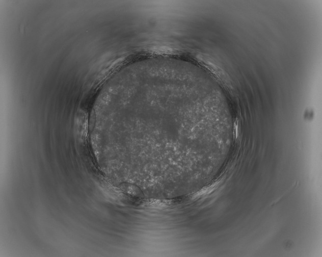 X0000089911251200707271707