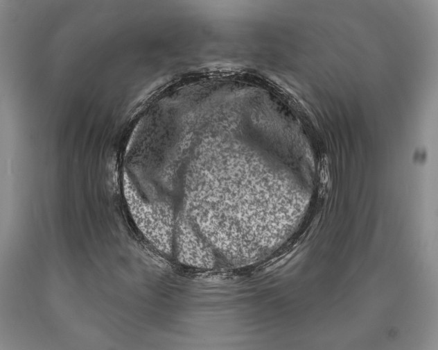 X0000089911252200707271707