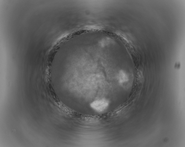 X0000089911254200707271707