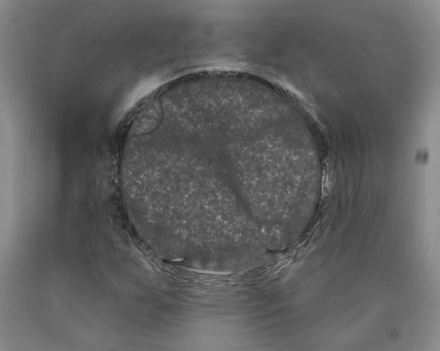 X0000089911255200707271707