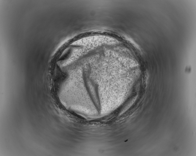 X0000089911256200707271707