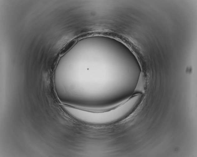 X0000089911257200707271707