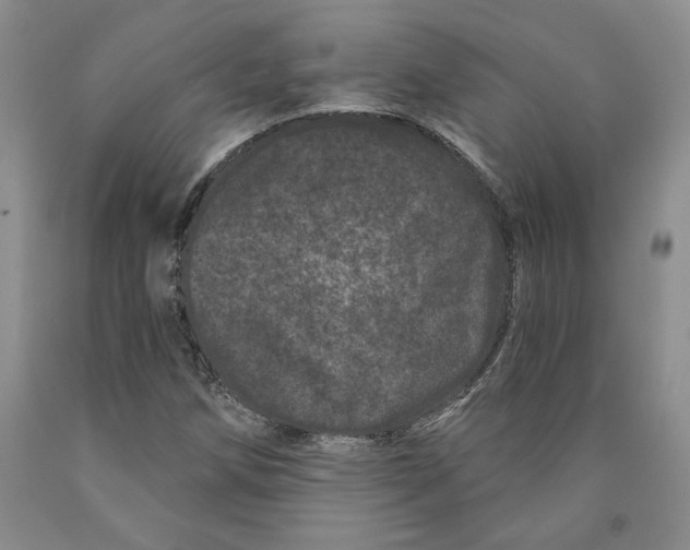 X0000089911258200707271707