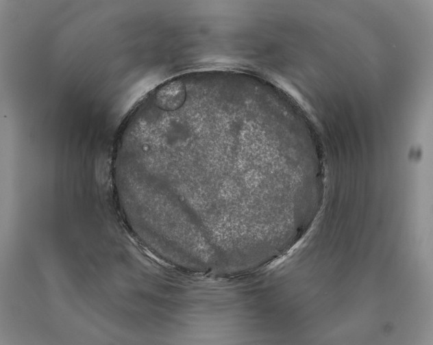 X0000089911259200707271707