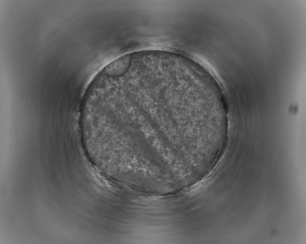 X0000089911260200707271707