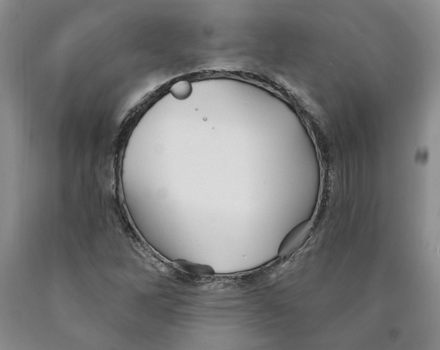 X0000089911262200707271707