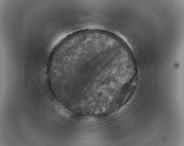 X0000089911263200707271707