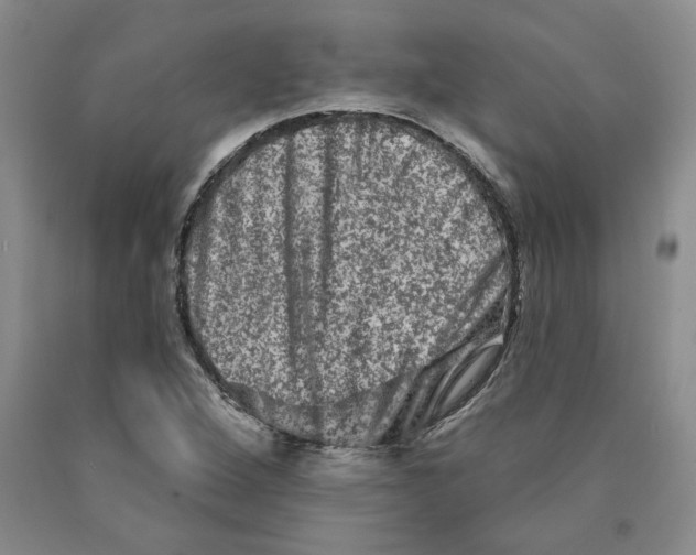 X0000089911264200707271707