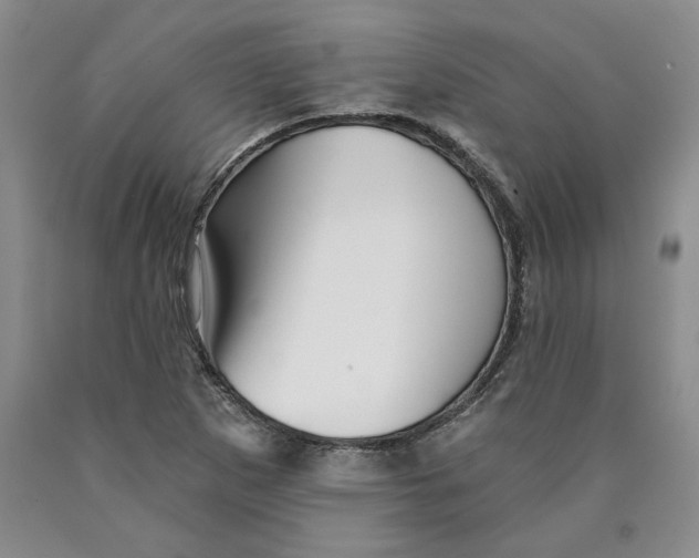 X0000089911265200707271707