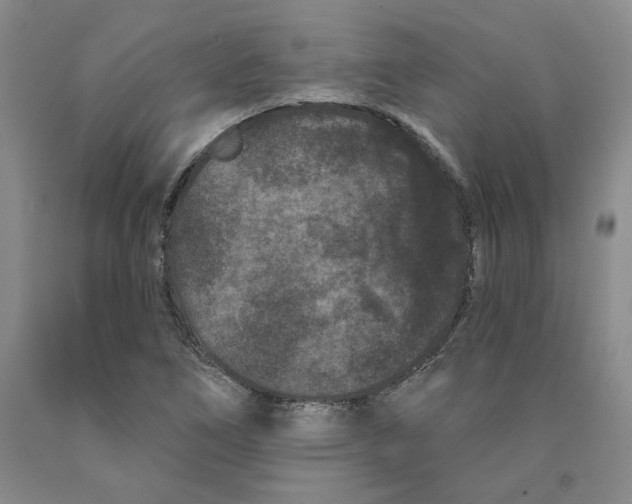 X0000089911266200707271707