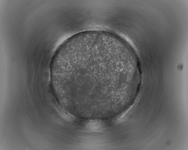 X0000089911267200707271707