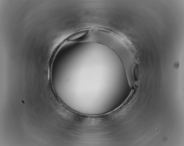 X0000089911269200707271707