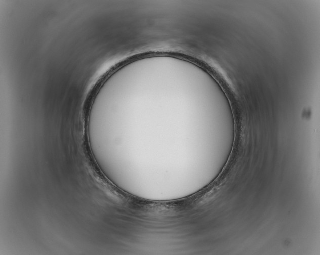 X0000089911270200707271707