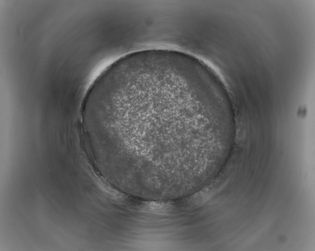 X0000089911271200707271707