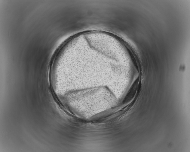 X0000089911272200707271707