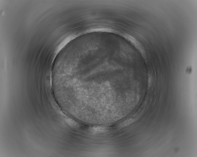 X0000089911274200707271707