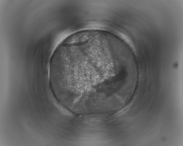 X0000089911275200707271707