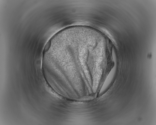 X0000089911276200707271707