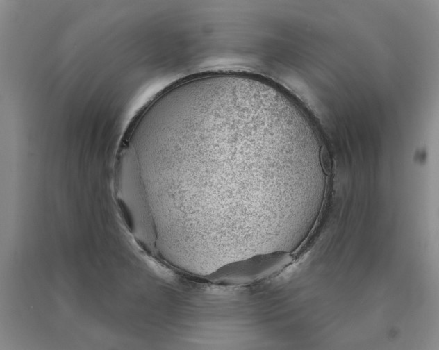 X0000089911277200707271707