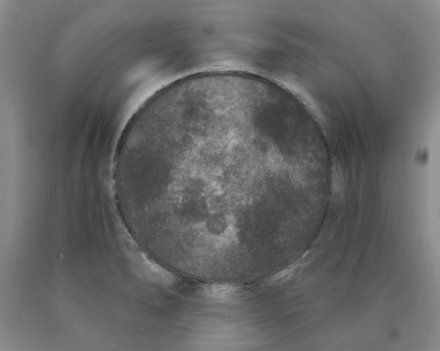 X0000089911278200707271707