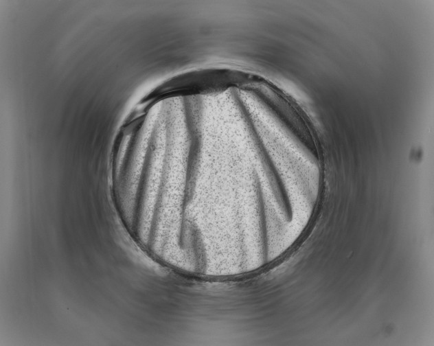 X0000089911280200707271707