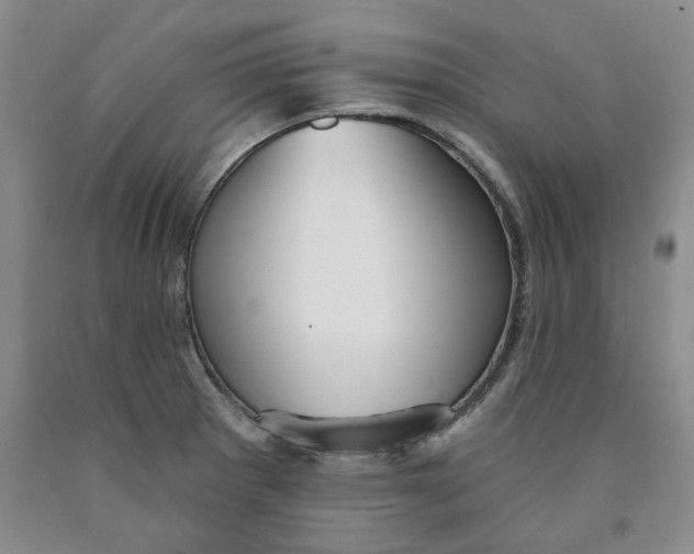 X0000089911281200707271707