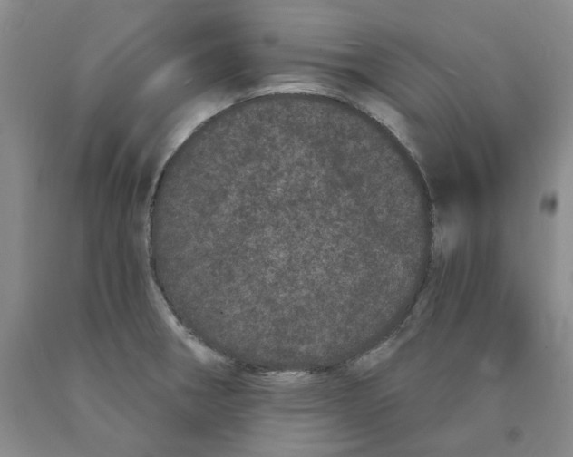 X0000089911282200707271707