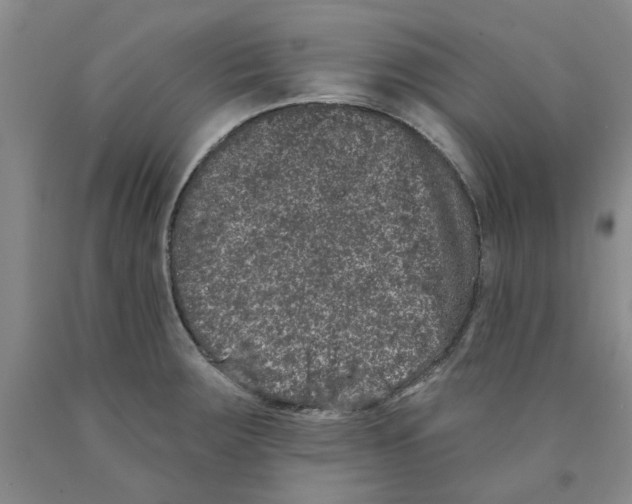 X0000089911283200707271707