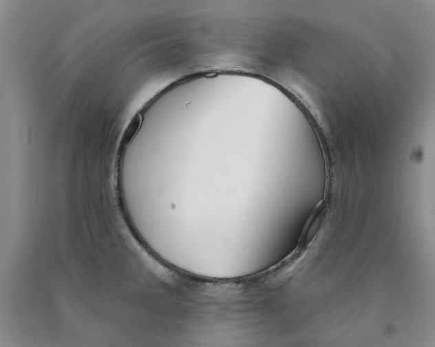 X0000089911285200707271707