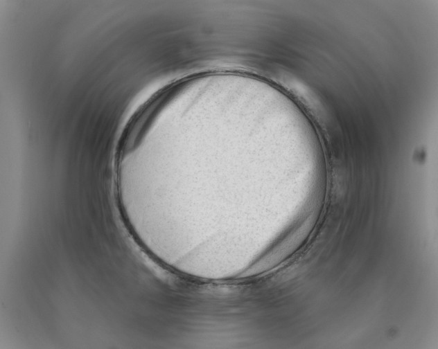 X0000089911286200707271707