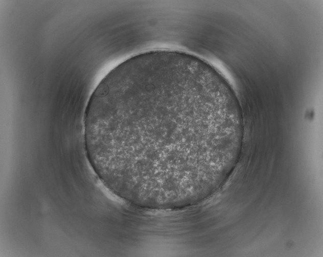 X0000089911287200707271707