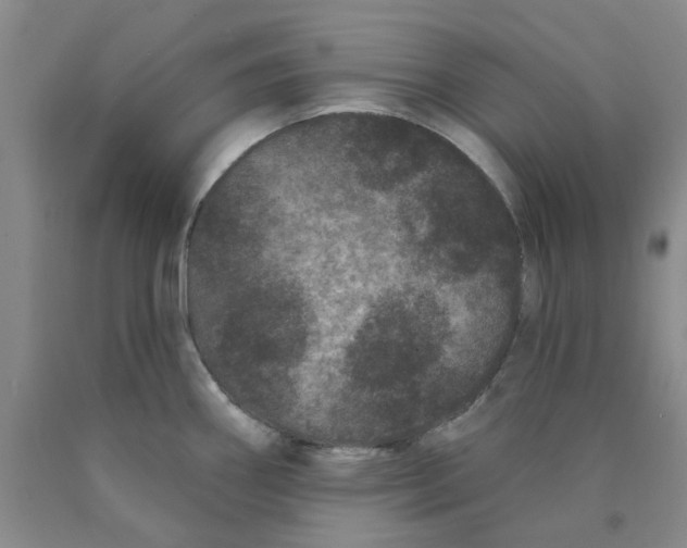 X0000089911290200707271707