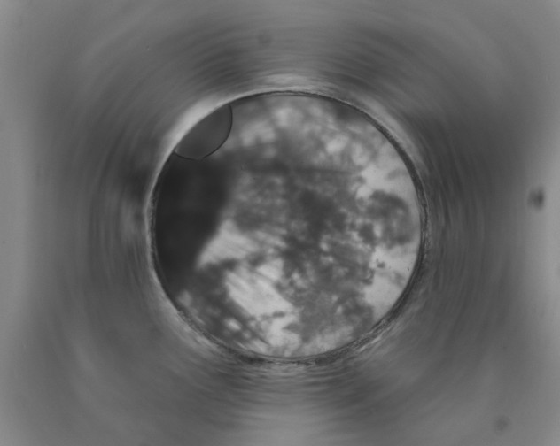 X0000089911291200707271707