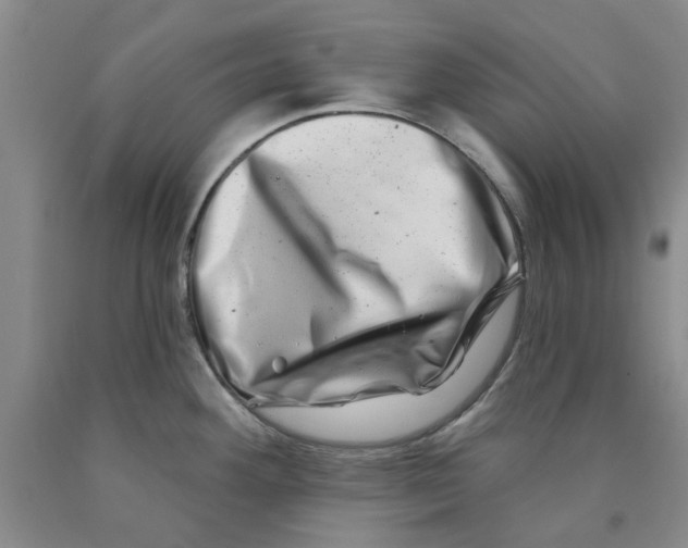 X0000089911292200707271707