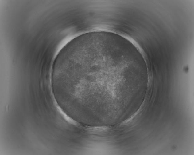 X0000089911294200707271707