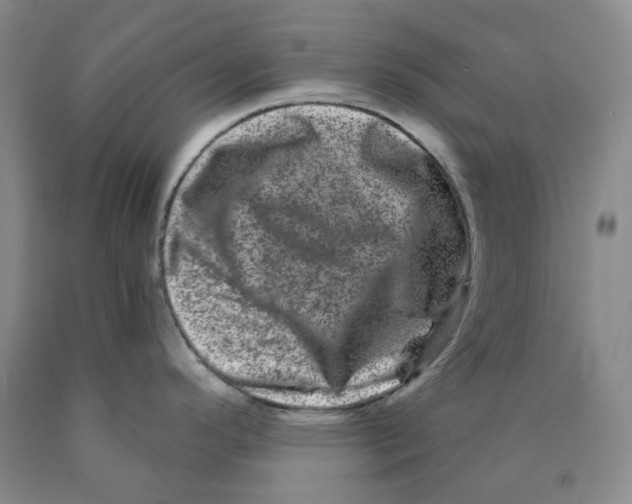 X0000089911296200707271707