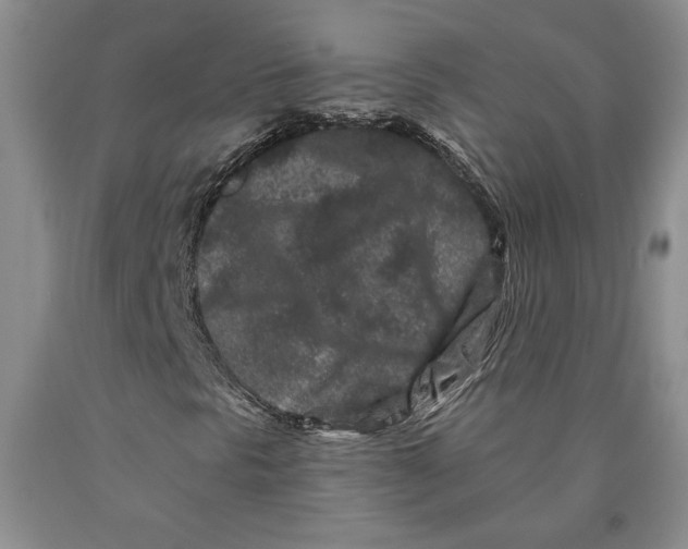 X0000089911297200707271706