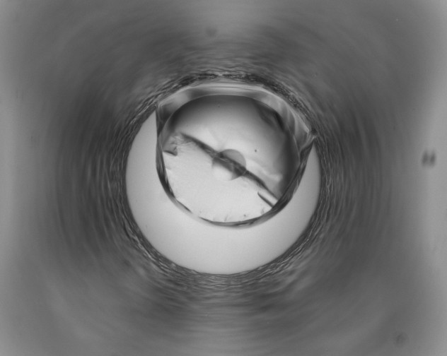 X0000089911298200707271706