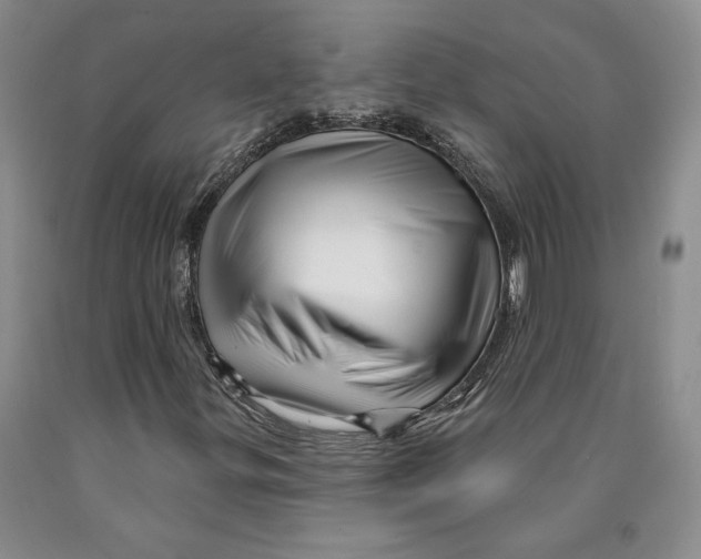 X0000089911299200707271706