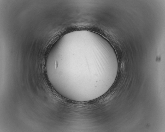 X0000089911300200707271706