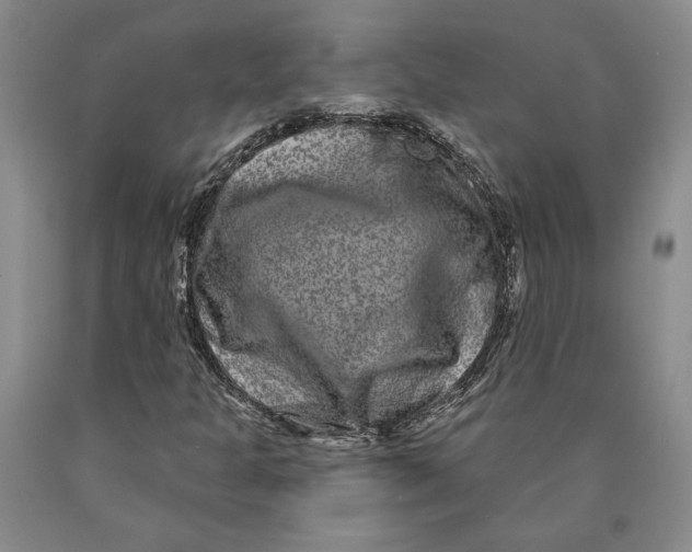 X0000089911301200707271706