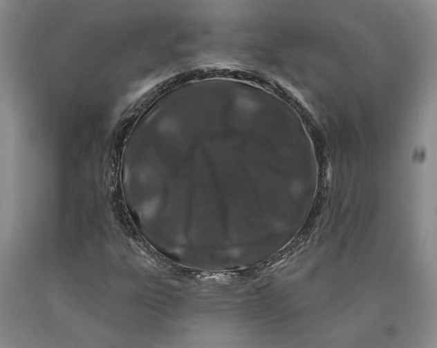 X0000089911303200707271706