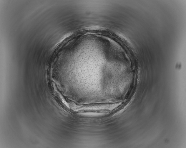 X0000089911305200707271706